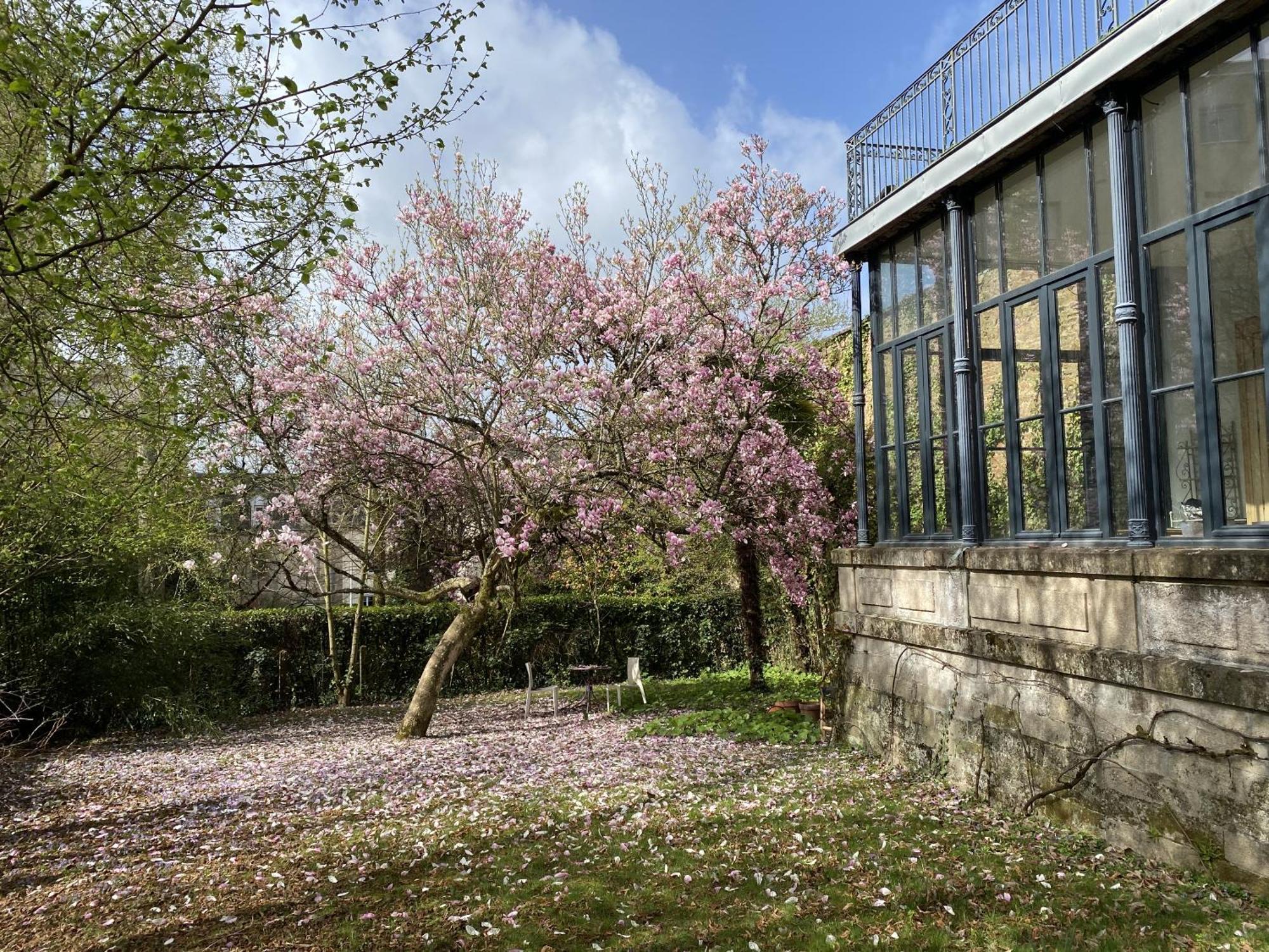 La Villa Beaupeyrat - Apparthotels De Charme Dans Batisse De Caractere A 400M Du Coeur De Ville De Limoges Ruang foto